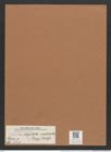 Navicula digitato-radiata (Greg.) Ralfs. (de-Toni-Nr.: Genus 1, Species 124) Zeichnungen Sammlung Grunow Mappe 00108 (Herbarium_W_Grunow_drawings_Folder_00108)